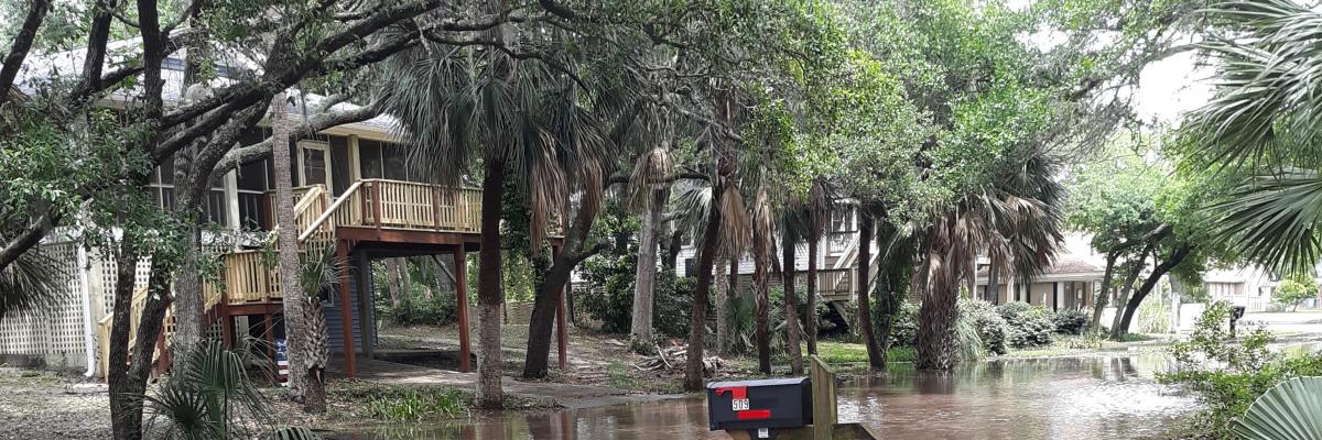 Dolphin Street Flooding Picture April 2020