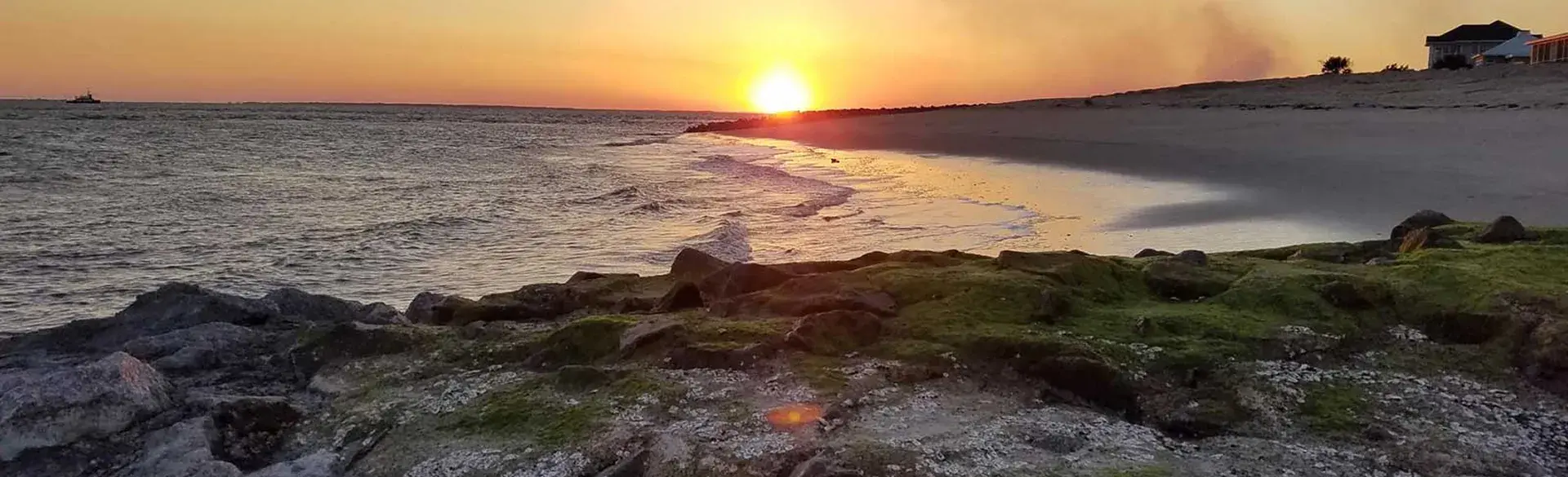 Golden sunset reflecting over ocean waves along a sandy beach with moss-covered rocks.