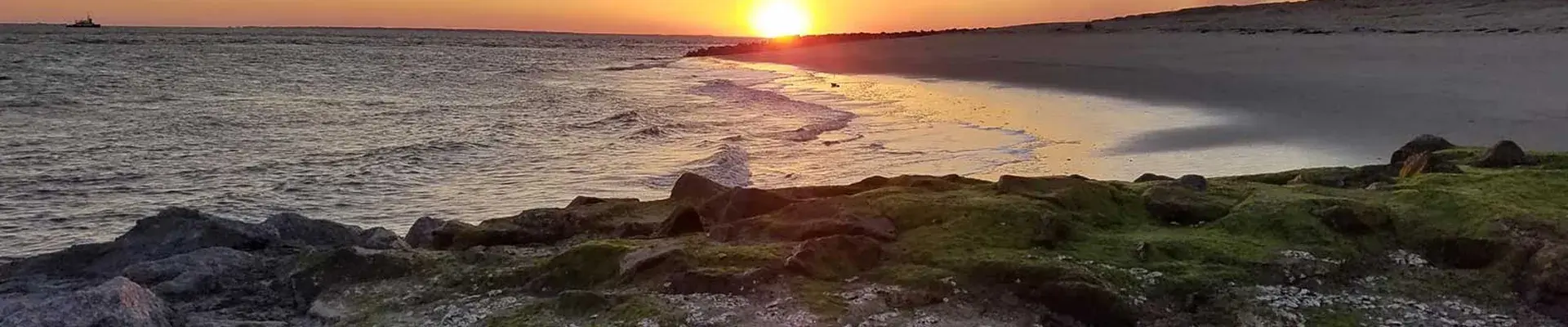 Golden sunset reflecting over ocean waves along a sandy beach with moss-covered rocks