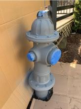 Striped and primed hydrant