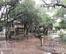 Dolphin Street Flooding Picture April 2020