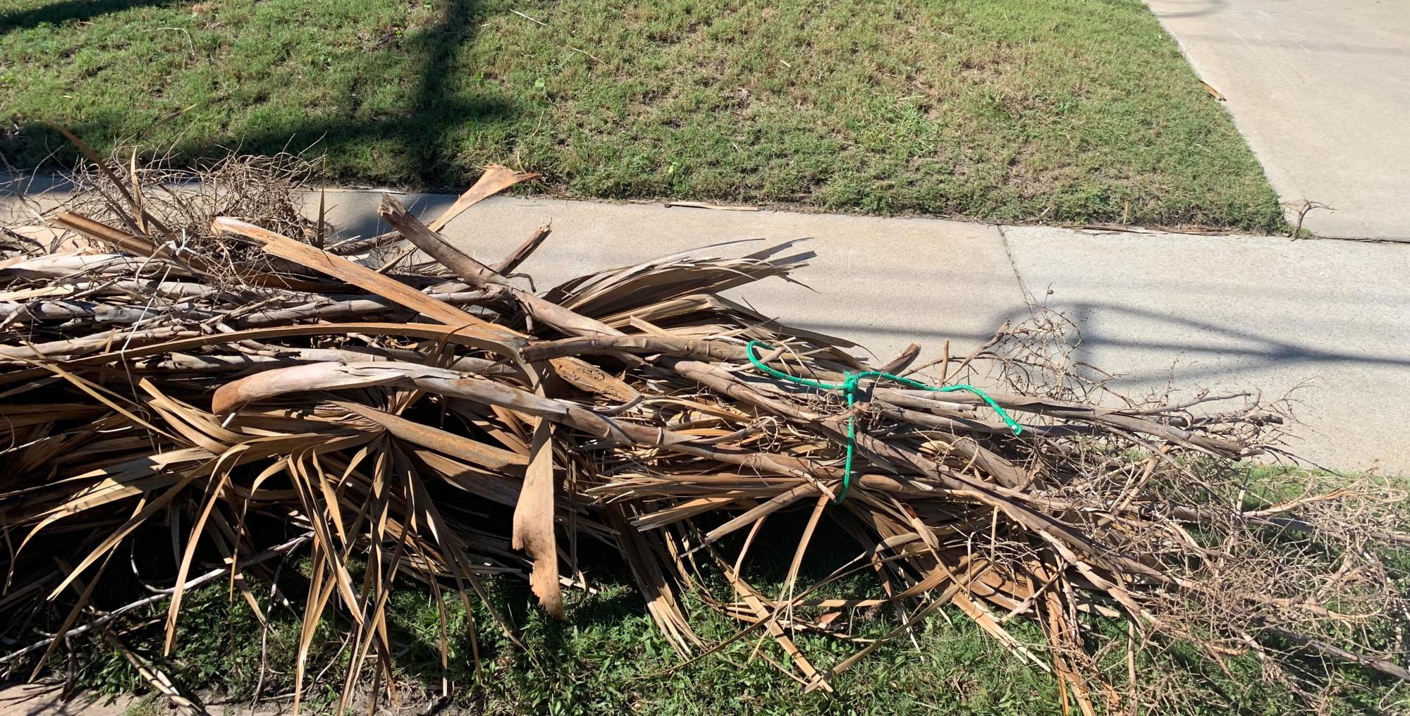 Bundled Yard Waste