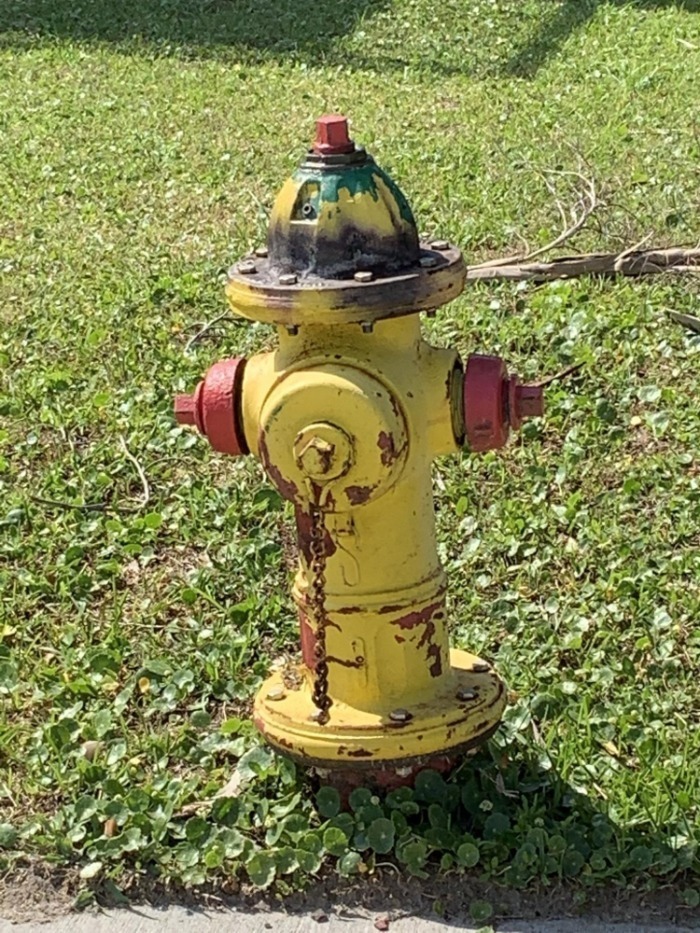 Hydrant at 711 Palmetto Blvd Before