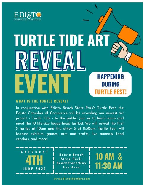Turtlefest Flyer