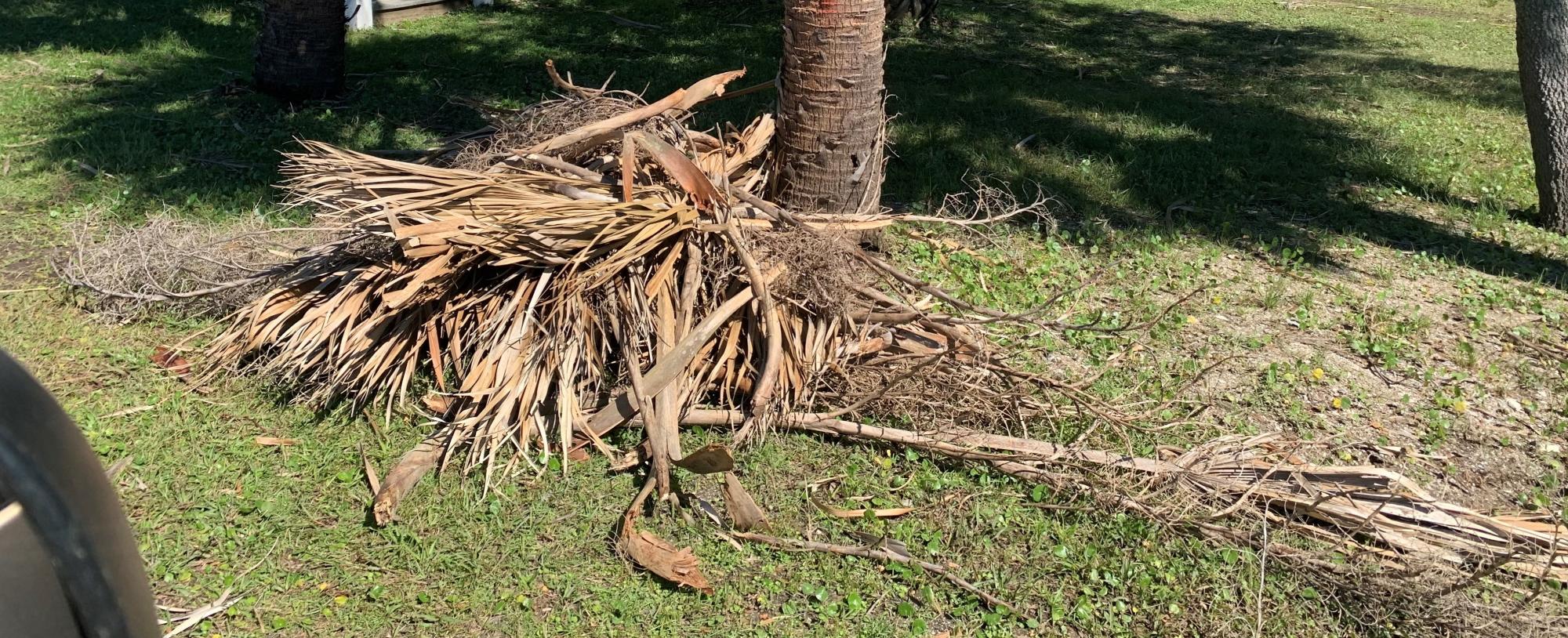 Unbundled Yard Waste